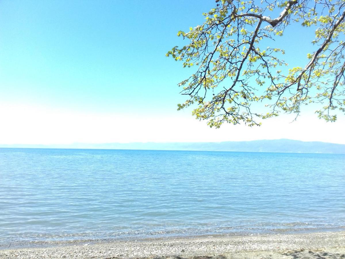 Apartment Biljana Ohrid Bagian luar foto